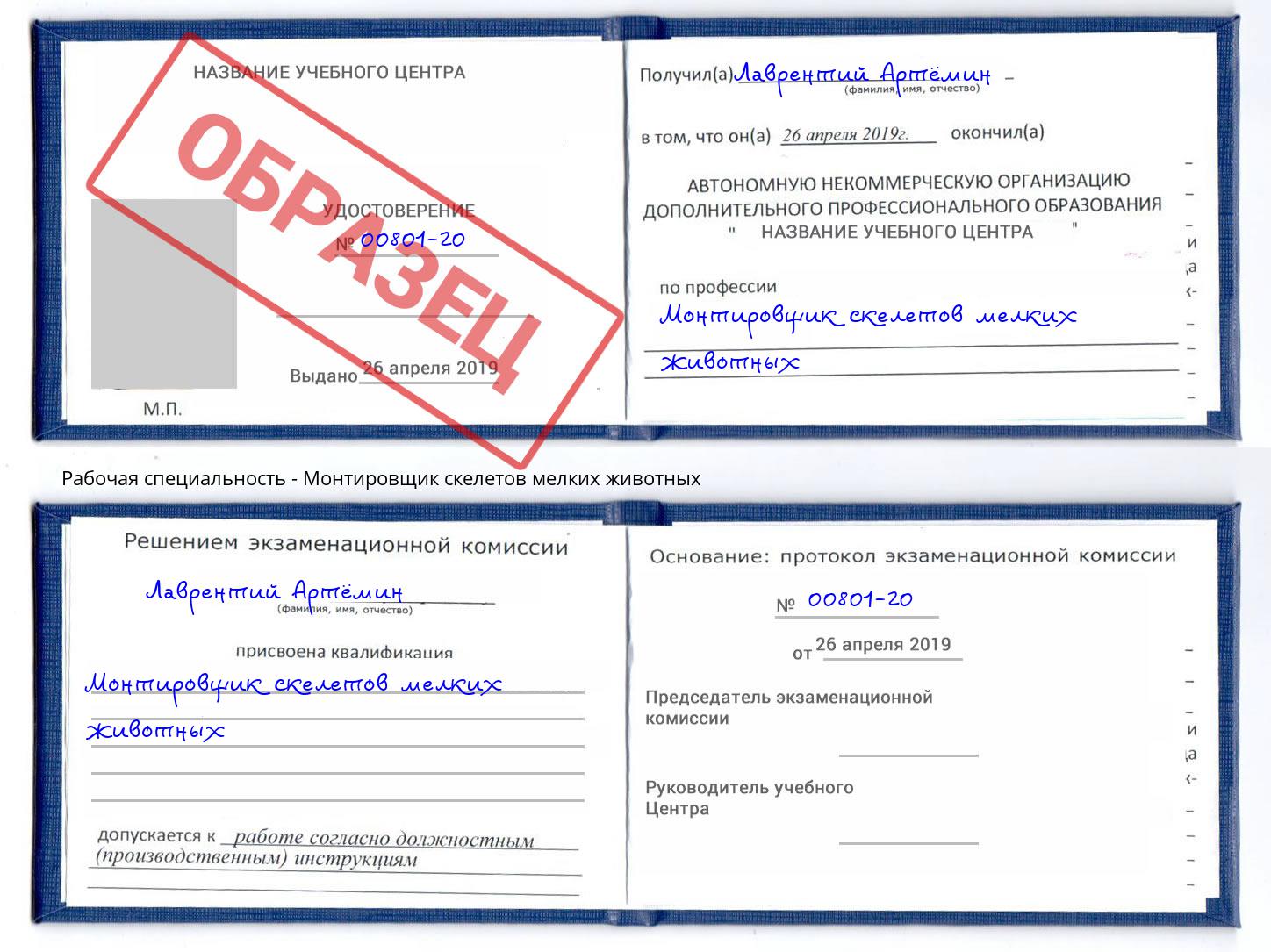 Монтировщик скелетов мелких животных Павлово