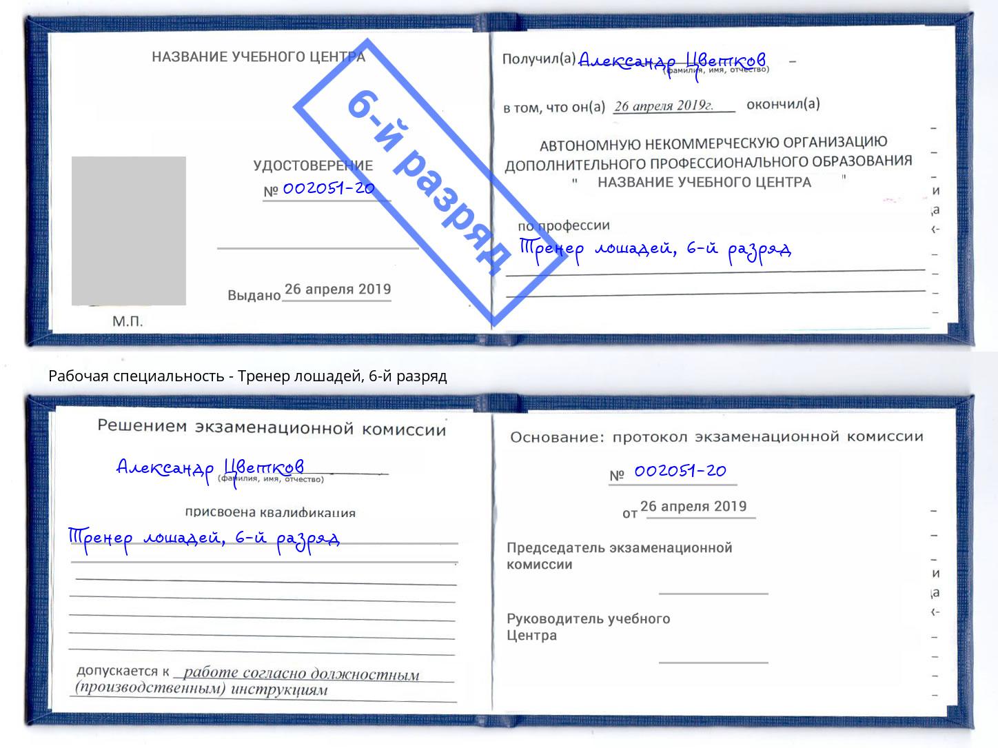 корочка 6-й разряд Тренер лошадей Павлово