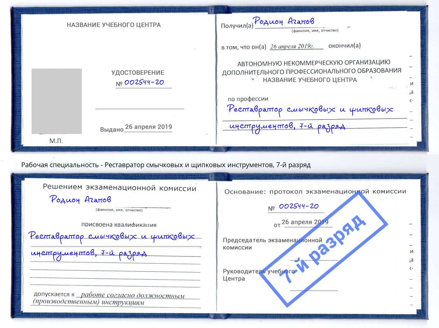 корочка 7-й разряд Реставратор смычковых и щипковых инструментов Павлово